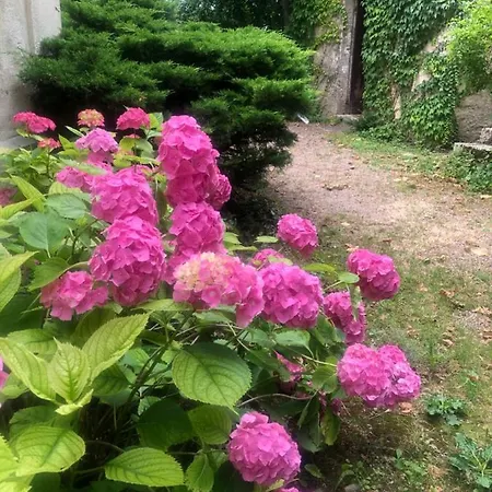 Bed & Breakfast Demeure Des Payratons *